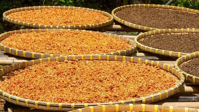 Vietnam boosts spice exports and expands&hellip;