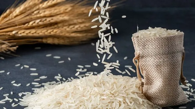China develops rice gene that combines earlier maturity with higher yields