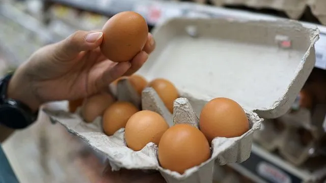 Iranian researchers enhance egg nutrition with&hellip;