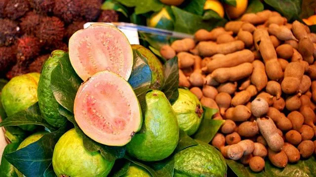 Brazilian mango, guava, pineapple and passion fruit gain access to Chinese market