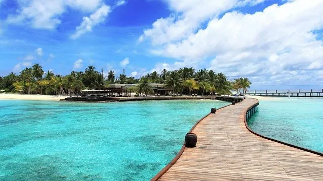 Scientists from Russia and China develop material to stabilise soil on islands