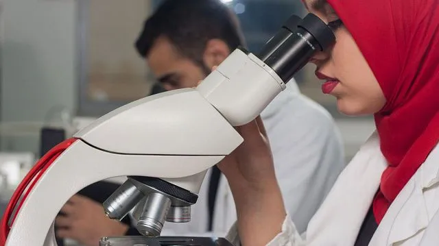 Number of universities in Egypt increases…