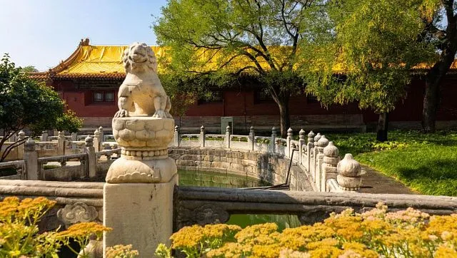 Beijing to create 100 habitat gardens and villages for ancient trees by 2030